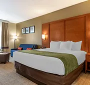 Comfort Inn & Suites Orangeburg hotel detail image 5