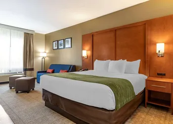 Comfort Inn & Suites Orangeburg hotel thumbnail 5