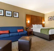 Comfort Inn & Suites Orangeburg hotel detail image 7