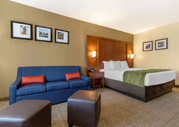 Comfort Inn & Suites Orangeburg hotel thumbnail 7