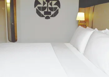 Holiday Inn & Suites Winnipeg Downtown by IHG hotel thumbnail 7