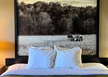 Super 8 by Wyndham Gas City Marion Area hotel thumbnail 7