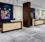 DoubleTree by Hilton Hotel Arlington DFW South hotel detail image 3