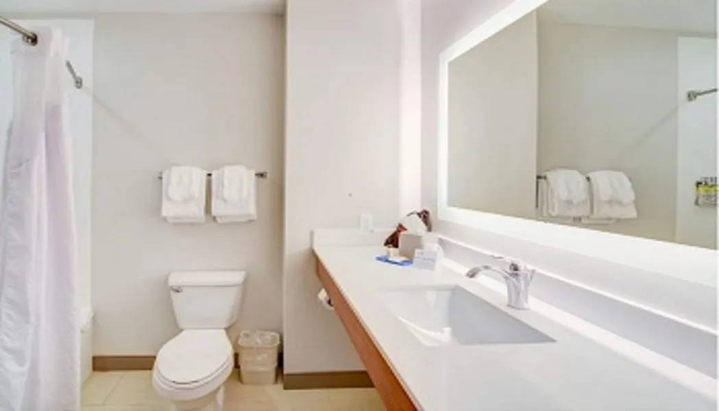 Holiday Inn Express Hotel & Suites Quincy I-10 by IHG hotel detail image 6