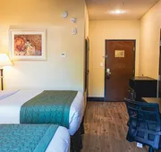 Grander Inn & Suites by IHG hotel detail image 5