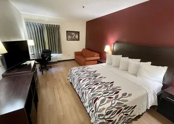 Red Roof Inn Clyde hotel thumbnail 5