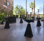 Embassy Suites by Hilton Phoenix Scottsdale hotel detail image 7