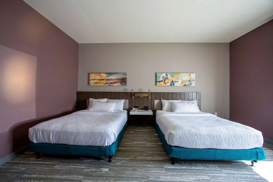 Hilton Garden Inn Rapid City hotel detail image 6