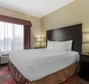 Best Western Plus Red Deer Inn & Suites hotel detail image 7
