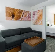 SpringHill Suites by Marriott Asheville hotel detail image 7