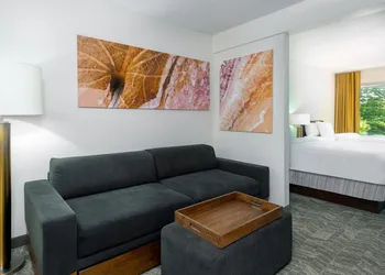 SpringHill Suites by Marriott Asheville hotel thumbnail 7