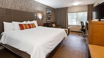 Best Western Plus Cottontree Inn hotel thumbnail 8