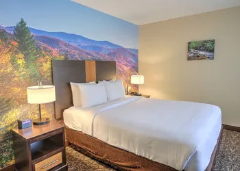 LeConte Hotel & Convention Center, an Ascend Collection Hotel hotel thumbnail 8