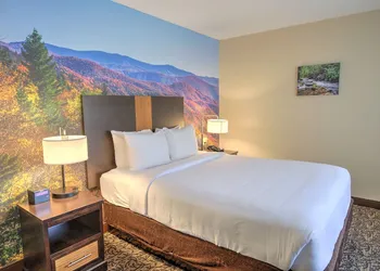 LeConte Hotel & Convention Center, an Ascend Collection Hotel hotel thumbnail 8