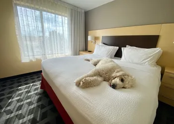 Towneplace Suites by Marriott Broken Arrow hotel thumbnail 7