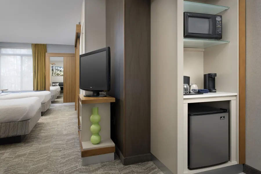 SpringHill Suites by Marriott Potomac Mills Woodbridge hotel detail image 6
