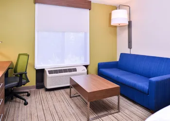 Holiday Inn Express Hotel & Suites Tampa-Anderson Rd/Veteran by IHG hotel thumbnail 6