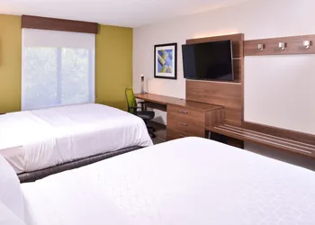 Holiday Inn Express Hotel & Suites Tampa-Anderson Rd/Veteran by IHG hotel thumbnail 8