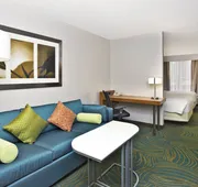 SpringHill Suites by Marriott Chicago Southwest at Burr Ridge/Hinsdale hotel detail image 4