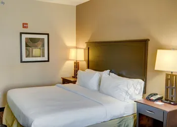 Holiday Inn Express Hotel & Suites Texarkana East by IHG hotel thumbnail 6