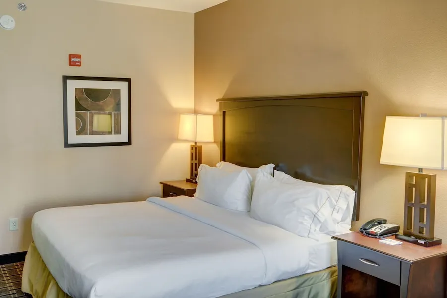 Holiday Inn Express Hotel & Suites Texarkana East by IHG hotel detail image 6