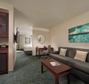Springhill Suites Marriott Baltimore Downtown/Inner Harbor hotel detail image 7