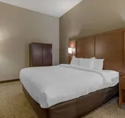 Comfort Suites Columbus State University Area hotel detail image 5