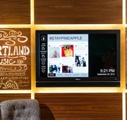 Staypineapple, Hotel Rose, Downtown Portland hotel detail image 3