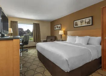 Comfort Inn Prince Albert hotel thumbnail 6