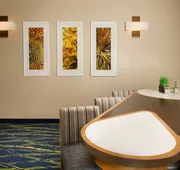 Homewood Suites by Hilton Midland, TX hotel detail image 3