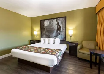 Super 8 by Wyndham Conference Center NAU/Downtown hotel thumbnail 7