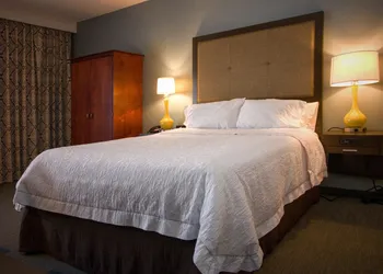 Hampton Inn Oklahoma City/Edmond hotel thumbnail 8