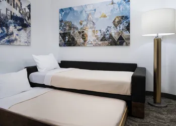 Springhill Suites by Marriott Alexandria Old Town/Southwest hotel thumbnail 8