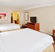 Holiday Inn Express Hotel & Suites Niagara Falls by IHG hotel detail image 7