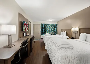 Red Roof Inn PLUS+ & Suites Naples Downtown-5th Ave S hotel thumbnail 8
