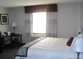Super 8 by Wyndham Saskatoon Near Downtown hotel thumbnail 3