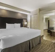 Best Western Plus Nashville Airport Hotel hotel detail image 7