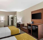 Comfort Suites Tulare Sequoia Gateway hotel detail image 5