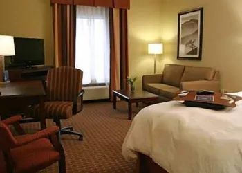 Hampton Inn & Suites Sevierville @ Stadium Drive hotel thumbnail 3