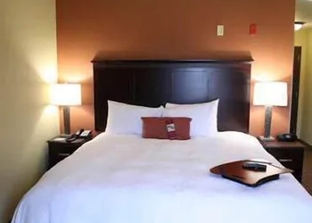 Hampton Inn & Suites Sevierville @ Stadium Drive hotel thumbnail 5