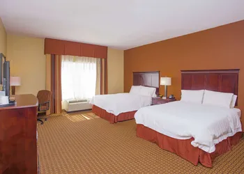 Hampton Inn & Suites Sevierville @ Stadium Drive hotel thumbnail 6