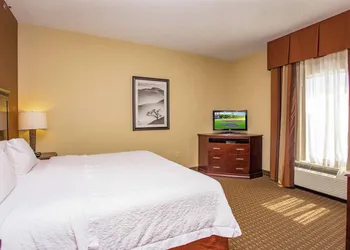 Hampton Inn & Suites Sevierville @ Stadium Drive hotel thumbnail 8