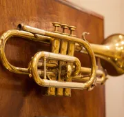 Hotel St. Pierre®, a French Quarter Inns® Hotel hotel detail image 4