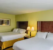 Holiday Inn Express Hotel & Suites Hamburg by IHG hotel detail image 5
