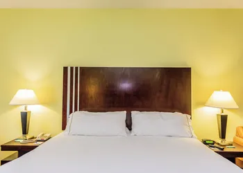 Holiday Inn Express Hotel & Suites Hamburg by IHG hotel thumbnail 7