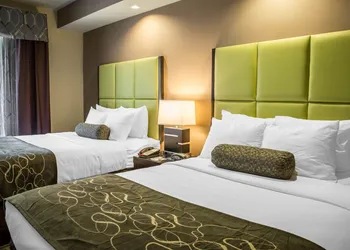 Comfort Suites New Bern near Cherry Point hotel thumbnail 6