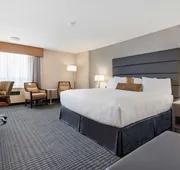 Best Western Premier Calgary Plaza Hotel & Conference Centre hotel detail image 7