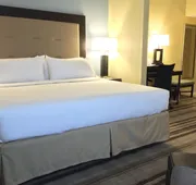 Holiday Inn Express Chicago NW - Arlington Heights by IHG hotel detail image 7