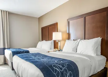 Comfort Suites West Warwick - Providence hotel thumbnail 8