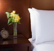 The Lakefront Anchorage hotel detail image 4
